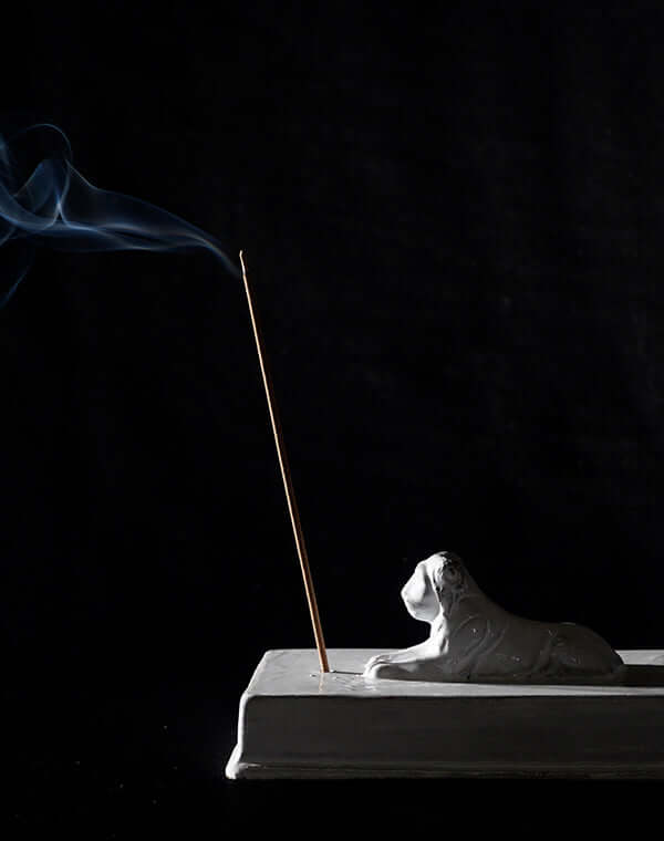 
                  
                    Load image into Gallery viewer, Incense Holder - LION / 349580251023
                  
                