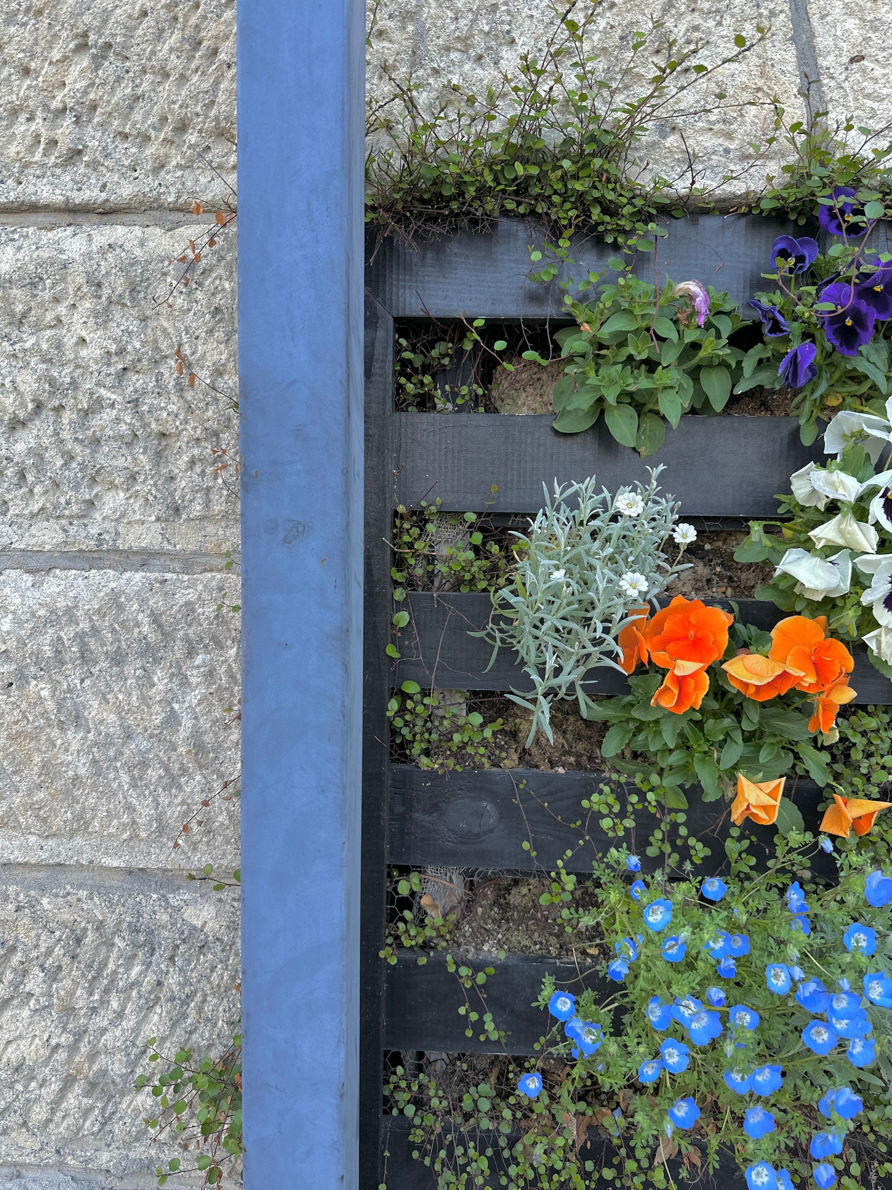 CALENDAR / 2026年3月カレンダーのサムネイル画像