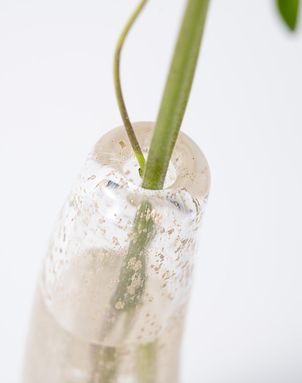 
                  
                    Load image into Gallery viewer, Grass S ビジュー / 903565253042
                  
                