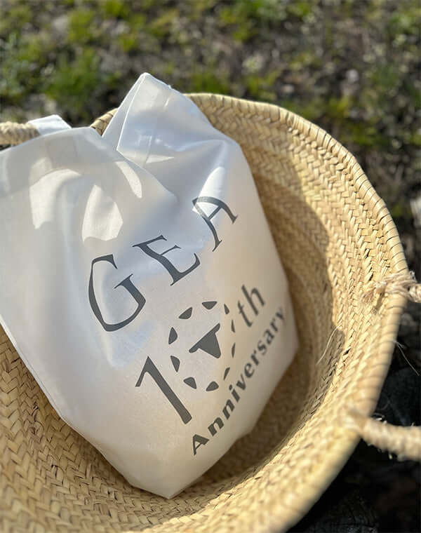 
                  
                    Load image into Gallery viewer, 《GEA_10th》Tote Bag Vol.1 / 235329251001
                  
                