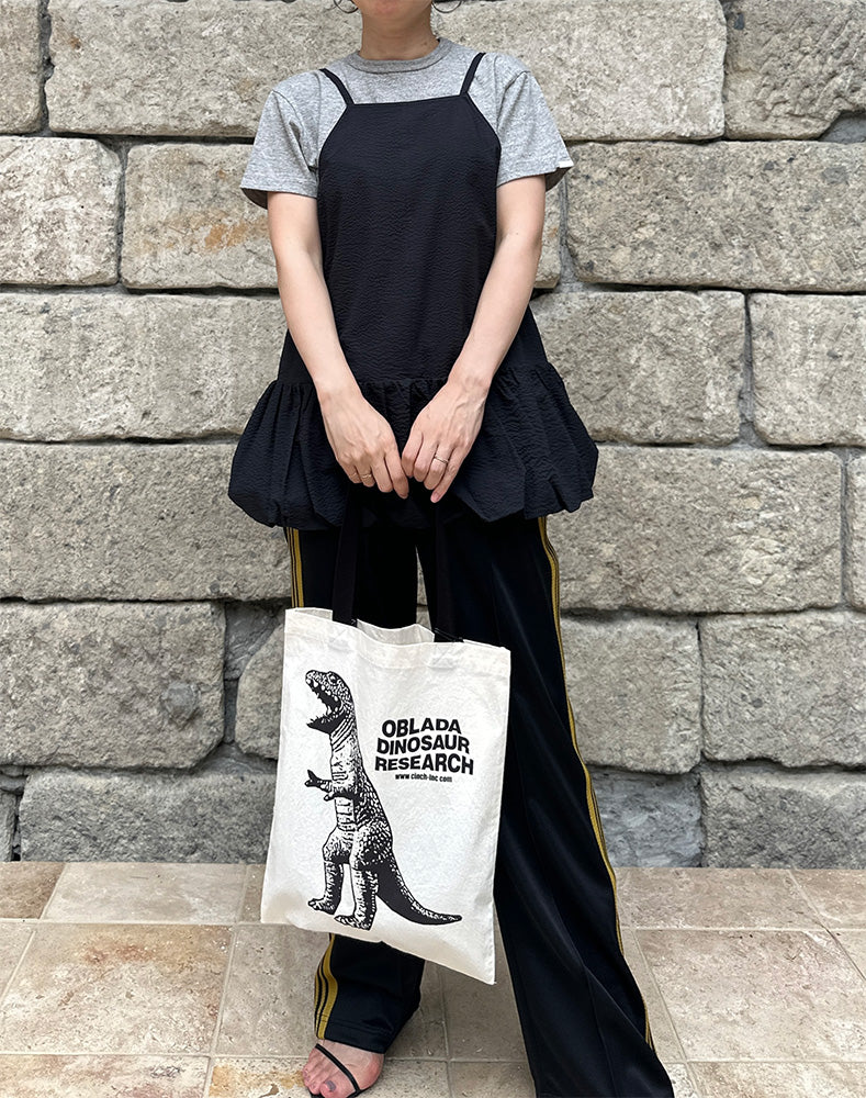 
                  
                    Load image into Gallery viewer, DINOSAUR TOTE / 335136252001
                  
                