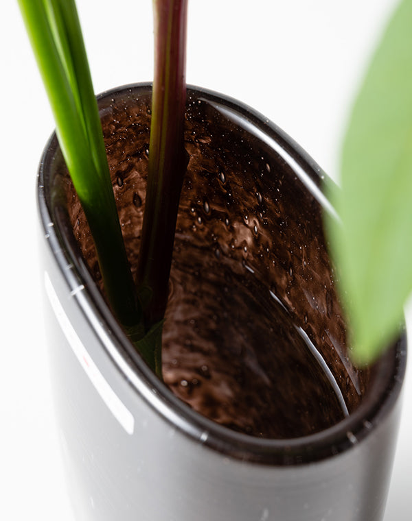 
                  
                    Load image into Gallery viewer, JulienXS ブルネット
                  
                