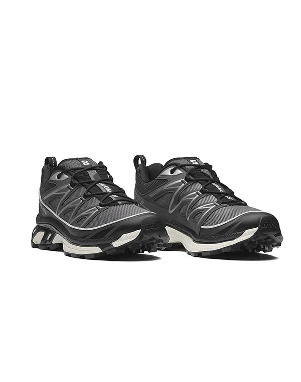 
                  
                    Load image into Gallery viewer, L47859000 XT-6 EXPANSE / 362644252011
                  
                