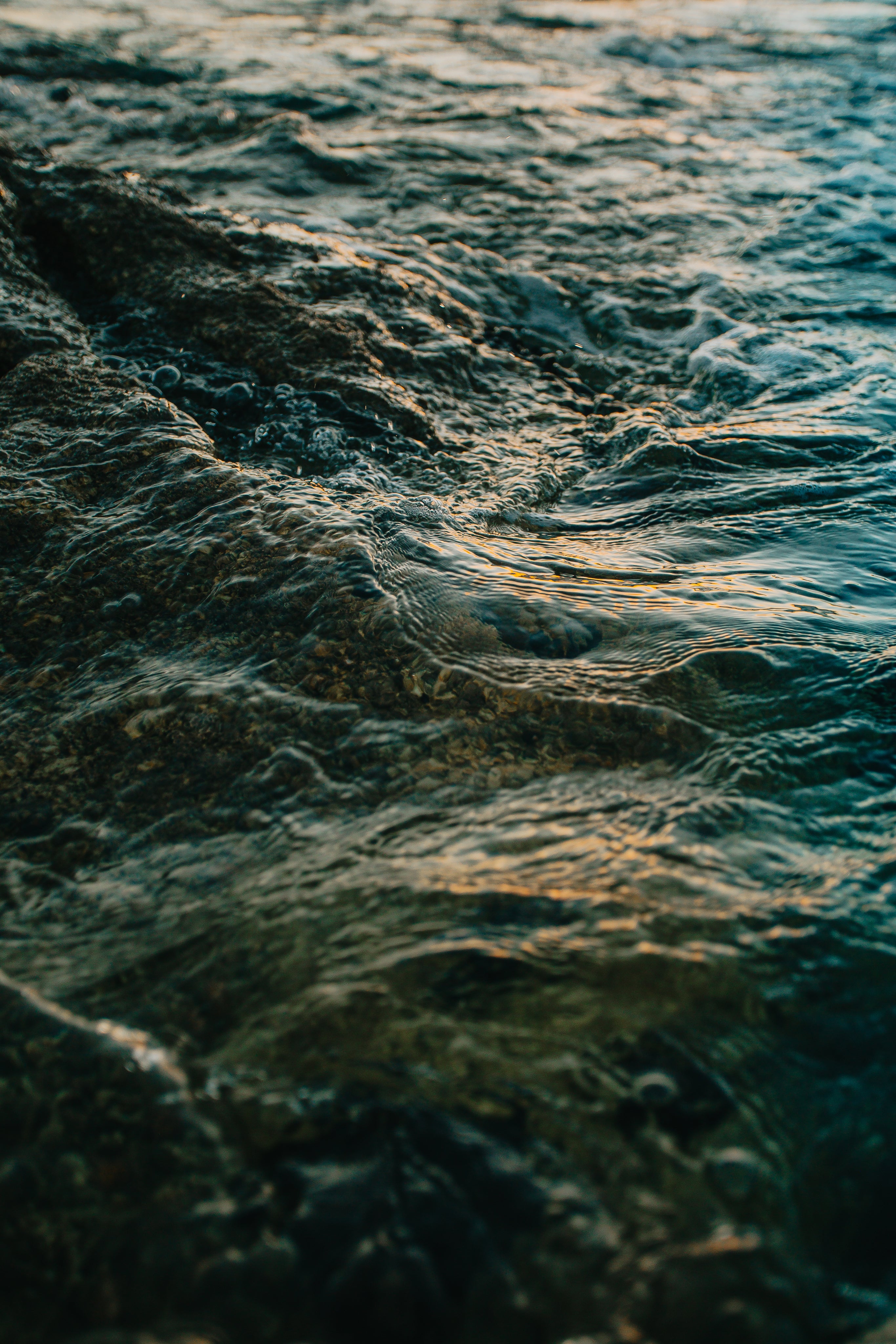 FASHION - SELECT BRAND 2026SSのサムネイル画像