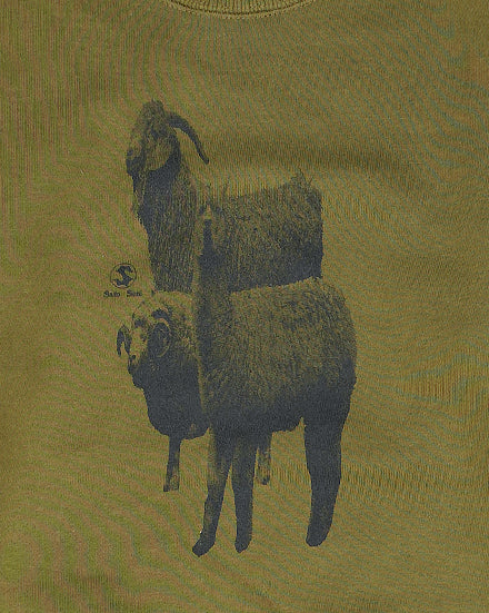 
                  
                    Load image into Gallery viewer, Alpaca &amp;amp; Sheep Swea / 157018201001
                  
                